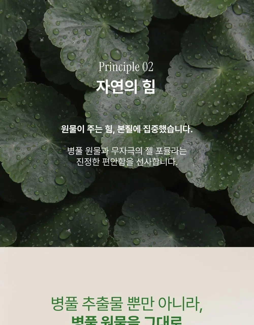 [김진경PICK/화해1위] 땡큐파머 피토 릴리풀 시카 약산성 젤클렌저 120ml 상세페이지 29